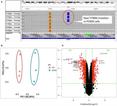 Transcriptome Profiling of Acquired Gefitinib Resistant Lung Cancer Cells Reveals Dramatically Changed Transcription Programs and New Treatment Targets